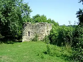 Cetatea Chioarului, ruine (Berchezoaia)