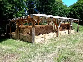 Cetatea dacică de la Tilișca (monument istoric)