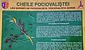 Cheile Pociovaliştei (panou informativ)