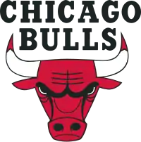 Chicago Bulls logo