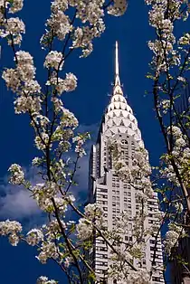 Chrysler Building printre crengile unui cireș înflorit, de David Blaikie