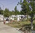 Cimitirul creștin-Calea Zimandului