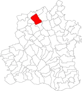 Amplasarea în cadrul județului