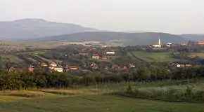 Vedere panoramică asupra satului