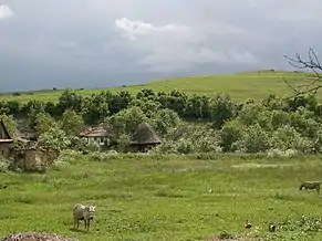 Coasta, jud.Cluj - viața la țară