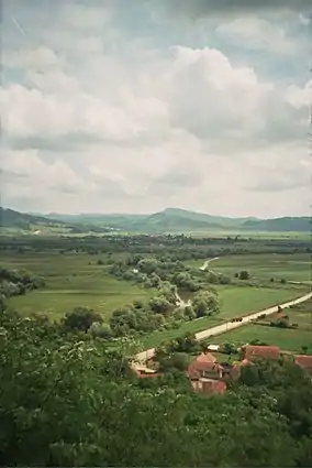 Hârtibaciul de Sud - Est la Comăna de Jos