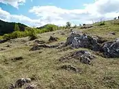 Câmpul de Lapiezuri