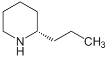 (S)-Coniine