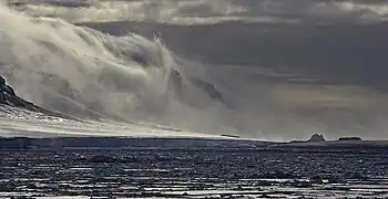 Cețuri pe insula Coulman