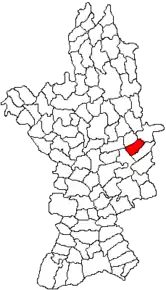 Amplasarea în cadrul județului