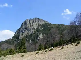 Vârful Creasta Cocoșului