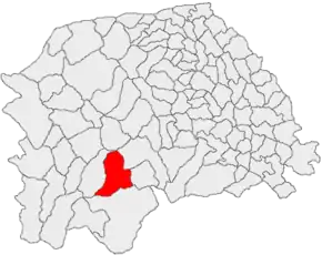 Amplasarea în cadrul județului