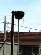 Cuib de berze pe un stâlp de curent de lângă biserică.