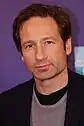 A photograph of David Duchovny