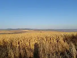 Munceii Bistrița-Tazlău în zona de sud