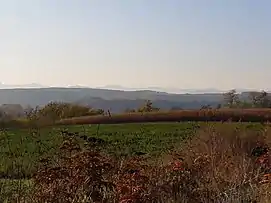 Culmea Berzunți - perspectivă vestică