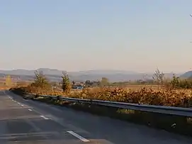 Culmea Pietricica perspectivă nord-vestică a capătului sudic