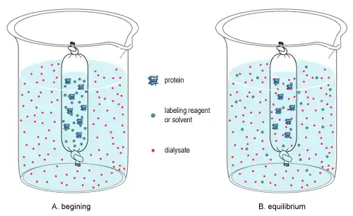 Dializă cu molecule mici cu ajutorul tuburilor de dializă