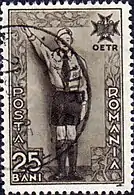 Salutul de cercetaș