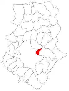 Amplasarea în cadrul județului