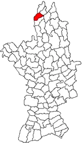 Amplasarea în cadrul județului