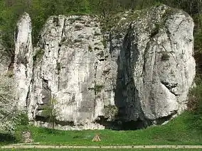 Dolina Prądnica
Logo-ul parcului