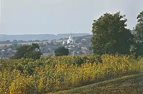 Panoramă a localității din 1980.