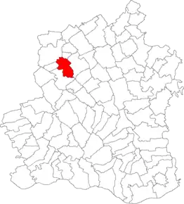 Amplasarea în cadrul județului