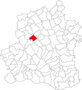 Amplasarea în cadrul județului