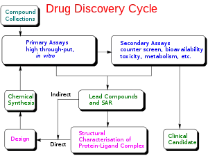 Schema ciclului de descoperire a medicamentelor