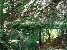 Drumul de creastă de aproximativ 3 km de pe dealul Măgura Ocnei, pe unde au fost cărate în timpul construcţiei, moloanele de piatră.