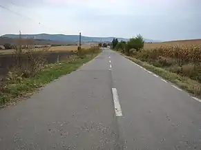 Drumul Cetatea de Baltă (AB)-Boian (SB)