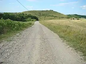 Drumul Fântânița-Miceștii de Câmpie