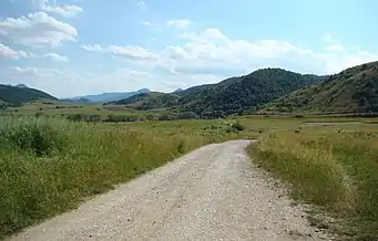 Drumul Petreștii de Sus-Borzești