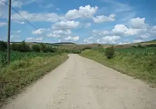 Drumul Silivașu de Câmpie-Visuia