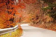 Drumul județean DJ 730 (Sat Ciocanu)