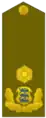 Estonia:Brigaadikindral