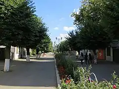 Strada Republicii (artera pietonală)