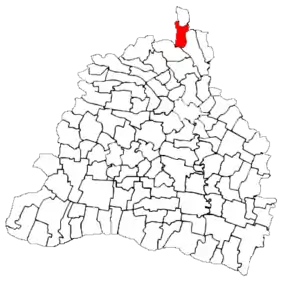 Amplasarea în cadrul județului