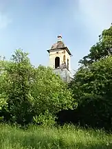 Biserica reformată, în paragină și înconjurată de vegetație