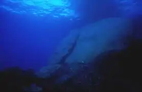 Bucată din stâlpul căzut în timpul prăbușirii din aprilie 2012.