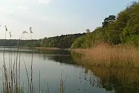 Imagine din parc, Lacul Góreckie

 Logo-ul parcului