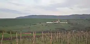 Bazilica romanică văzută din drumul Reciului