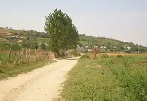 Satul Garvăn vazut dinspre fosta baltă transformată în teren agricol în timpul regimului comunist