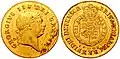 George al III-lea, half Guinea