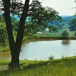 Vedere de lângă Glinjeni, 1980.