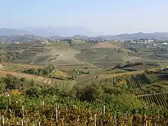 Slovenia submediteraneană: podgorii din dealurile Gorizia(d)