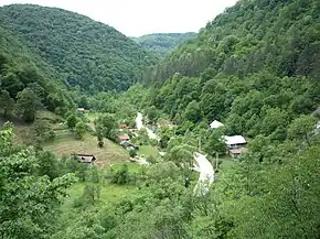 Vedere înspre Govăjdia