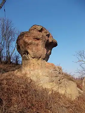 Stânca Dracului, monument al naturii