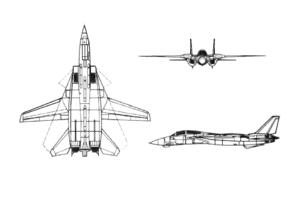 Diagramă proiectată ortografic a lui Grumman F-14 Tomcat.